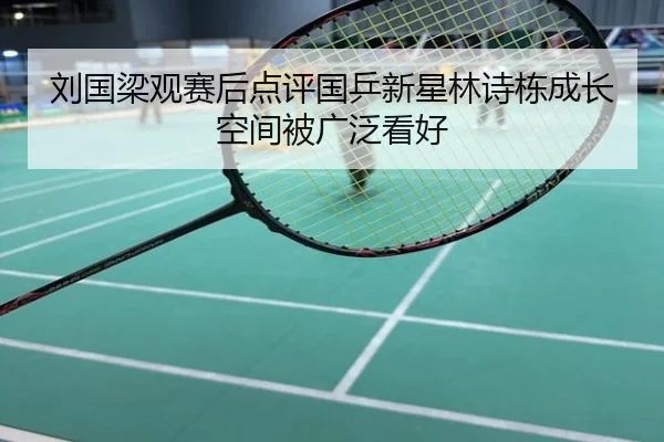 刘国梁观赛后点评国乒新星林诗栋成长空间被广泛看好